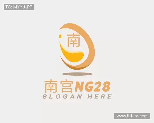解读南宫NG28
